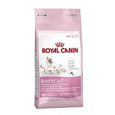 Royal Canin Babycat 34 Complete Kitten Cat Dry Food 2kg Continue To The Product At The Image Link Wellness Cat Food Royal Canin Dog Food Cat Food Coupons