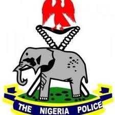 Image result for nigeria police force pictures