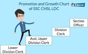 Jinsi ya kupata salary slip, salary slip online form, download salary slip tanzania. Ssc Chsl Ldc Deo Career Scope Job Profile Salary Promotions
