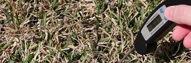 How to treat your lawn for weeds. Diy Lawn Care How To Get Rid Of Weeds And Landscape Issues Best Lawn Care Products Available Solutions Pest Lawn