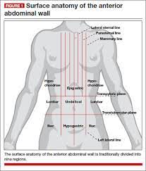 If you need any cosmetic, or plastic surgery, dr. Anatomy For The Laparoscopic Surgeon Mdedge Obgyn