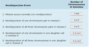 Access to all gizmo lesson materials, including answer keys. Mastering Biology Chapter 12 Flashcards Quizlet
