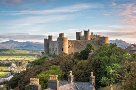 Wales luck out with moore equaliser in swiss draw. The Best Of Wales Small Group Tour From London 6 Days 2021