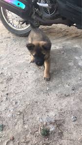 ‏‏٢٬٨٨٥‏ تسجيل إعجاب · يتحدث ‏١٦‏ عن هذا‏. à¸«à¸¡à¸²à¸ž à¸™à¸˜ à¸­à¸°à¹„à¸£à¸„à¸£ à¸š Pantip