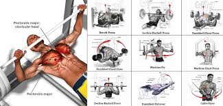 Gym Chest Workout Chart Anotherhackedlife Com