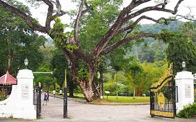Narava malezije je prava najdba za ljubitelje ekoturizma. Botanic Gardens Penang Attractions Wonderful Malaysia