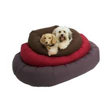 Along these lines, go for a size that is somewhat greater to guarantee comfort. Buy Dog Gone Smart Donut Dog Bed Online At Low Price In India Puprise