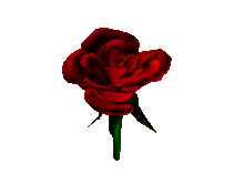 Beautiful red roses in a box glittering happy. Flowers Animated Images Gifs Pictures Animations 100 Free