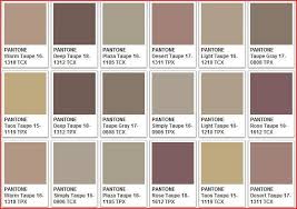 Warm Taupe Color Chart In 2019 What Color Is Taupe Taupe