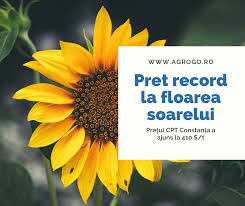 Uleiul poate fi livrat atat vrac, cat si imbuteliat la litru. Agrogo Posts Facebook