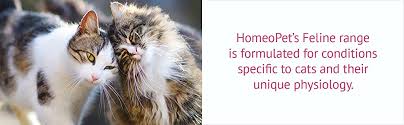 Dewormer, flea & tick treatment. Amazon Com Homeopet Feline Nose Relief One Size 14766 Pet Supplies