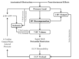 Increased risk of pulmonary embolism in patients undergoing surgery for lung cancer involve extensive surgical intervention, the intrinsic procoagulant effect of. Massive Pulmonary Embolism Heart Failure A Review Of Clinical Status And Meta Analyses Of Clinical Scoring System And D Dimer And Thrombolytic And Anticoagulation Therapies