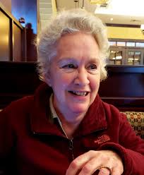 2018 voter's guide: Breaking down the candidates