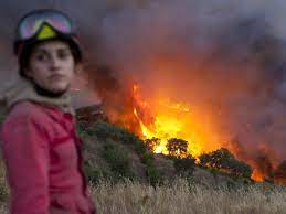 The only vegetation is the ribeira da. Sete Anos Depois Ainda Nao Ha Indemnizacoes Para Os Lesados No Incendio De Catraia Tvi24