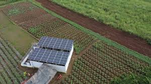 Governor turns over P6.9-M solar-powered irrigation system in Manapla