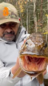 Simple things in life mean the most to me. Mother Nature always seems to  calm my mind and make me smile. Finland is filled with beautiful rivers and  kind people who are willing to share these ...