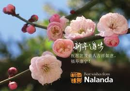 Laimīgā čapa goha mei funkcijas: Wishing You A Happy Chap Goh Meh Nalanda Buddhist Society