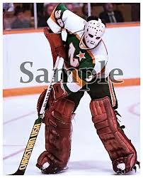 Image result for Eye Rest Green 1983 Hussmann