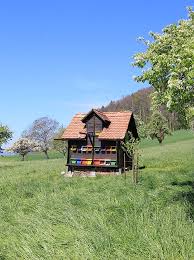 Honig eigene Imkerei regional Pfannenstiel Zürichsee Kaufen  www.pfannihonig.ch