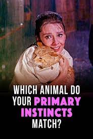 Everyone Has An Animal That Matches Their Primary Instincts What S Yours Personality Quizzes Buzzfeed Fun Quiz Personality Quizzes