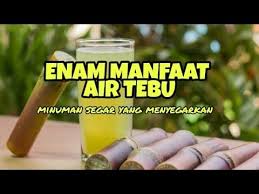 Rasa manis dan segar air tebu tak hanya berguna sebagai penawar dahaga, tapi juga beragam khasiat untuk kesehatan. Musim Giling Tebu Enam Manfaat Air Tebu Youtube