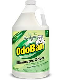 Bio Clean Hard Water Stain Remover Reviews Odoban Odor Eliminator Reviews Uses Clean Odor Eliminator Cleaning How To Clean Carpet