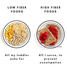 High fiber food is important for every kid as fiber aids in digestion and helps kids in regular bowel movement and better absorption of nutrients. How To Serve High Fiber Foods For Toddlers And Kids High Fiber Foods Food Healthy Toddler Meals