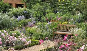 Make the most of the weather. Alan Titchmarsh On Growing Rose Shrubs In Your Garden Express Co Uk