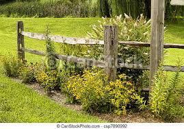 We would like to show you a description here but the site won't allow us. Country Fence Country Split Rail Fence With Black Eyed Susan Flowers Canstock