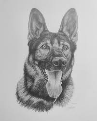 Maybe you would like to learn more about one of these? Bevan S Pet Portraits Home Facebook