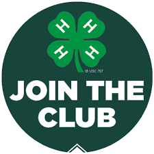 Image result for 4-H