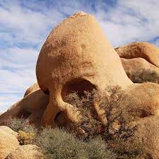 Joshua Tree 10 Amazing Places To See In The National Park Joshua Tree National Park Joshua Tree National Parks