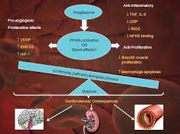 Image result for Pioglitazone