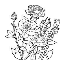 Online coloring coloring books color by numbers free coloring pages color worksheets color by number printable. Outline Drawings For The Painting Stained Glass Batik In 2021 Garden Coloring Pages Rose Coloring Pages Spring Coloring Pages