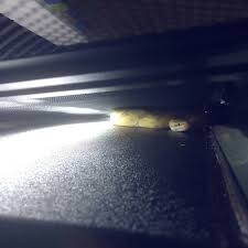 That Feeling When You Spend An Hour Frantically Searching The Fish Room For An Errant Snake Only To Discover The Little Fishing Room Radiant Heat Monty Python