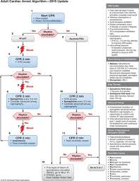 part 7 adult advanced cardiovascular life support circulation