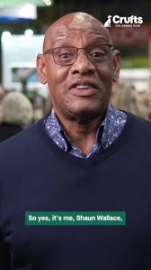 It's National Therapy Dog Appreciation Day! Watch this Crufts YouTube,  where The Dark Destroyer from ITV The Chase, aka Shaun Wallace, spoke to us  about the extensive work we do. 💛🐾🖤 #therapydog #