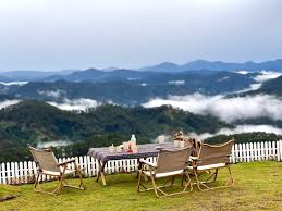 Kinh nghiệm cắm trại săn mây tại đồi chè cầu đất Đà Lạt - Cloud Glamping |  Cloud9 Glamping | Cloud View Glamping