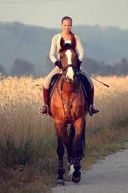 Keeping A Horse In Active Walk And Problems With Steering Horses Horses Horse Equestrian Horse Love