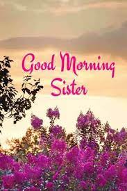 Find here amazing collection of good morning wishes for sister. Beautiful Good Morning Sister Images Hd Quality Good Morning