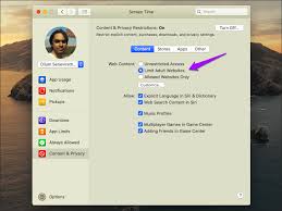 You can adjust your settings for these individual websites. How To Disable Safari Private Browsing On Mac