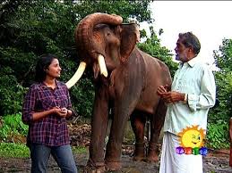Mangalamkunnu karnan mashup this video is made only showcasing the editing skills of the individual the video is strictly meant. Mangalamkunnu Karnan Free Mp4 Video Download Jattmate Com