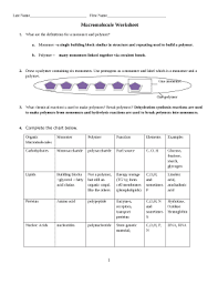 Macromolecule Worksheet Doc Template Pdffiller