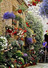 Beautiful Gorgeous Pretty Flowers Topfgarten Mediterraner Garten Schone Blumen
