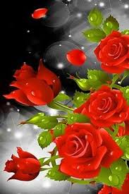 Red Rose Party Live Wallpaper App Download For Free On Mobango Com Good Morning Roses Good Morning Flowers Flower Pictures