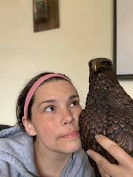 Jeffree Star Cosmetics updated...