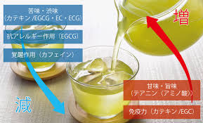 水出し緑茶で免疫力アップ お茶コラム 京都 三条 ちきりや お茶通販 創業安政元年
