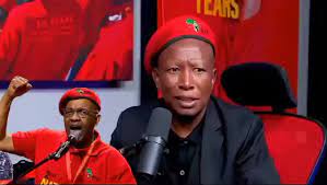 Mbuyiseni Ndlozi Is It True Is Joining Mk Party | TikTok
