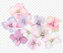 Pink Watercolor Flowers Png Fondos De Flores Y Mariposas Transparent Png 2289x2289 1584288 Pngfind Pngtree ofrece más de flores acuarela png e imágenes vectoriales, así como imágenes vea nuestra última colección de imágenes png flores acuarela gratuitas con fondo transparente, que puede usar directamente en su póster, diseño de volante o presentación de powerpoint.