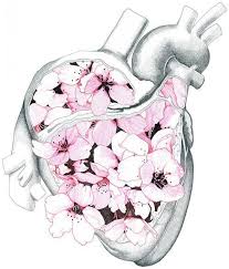 We did not find results for: Paper Trees Heart Art Anatomy Art Art